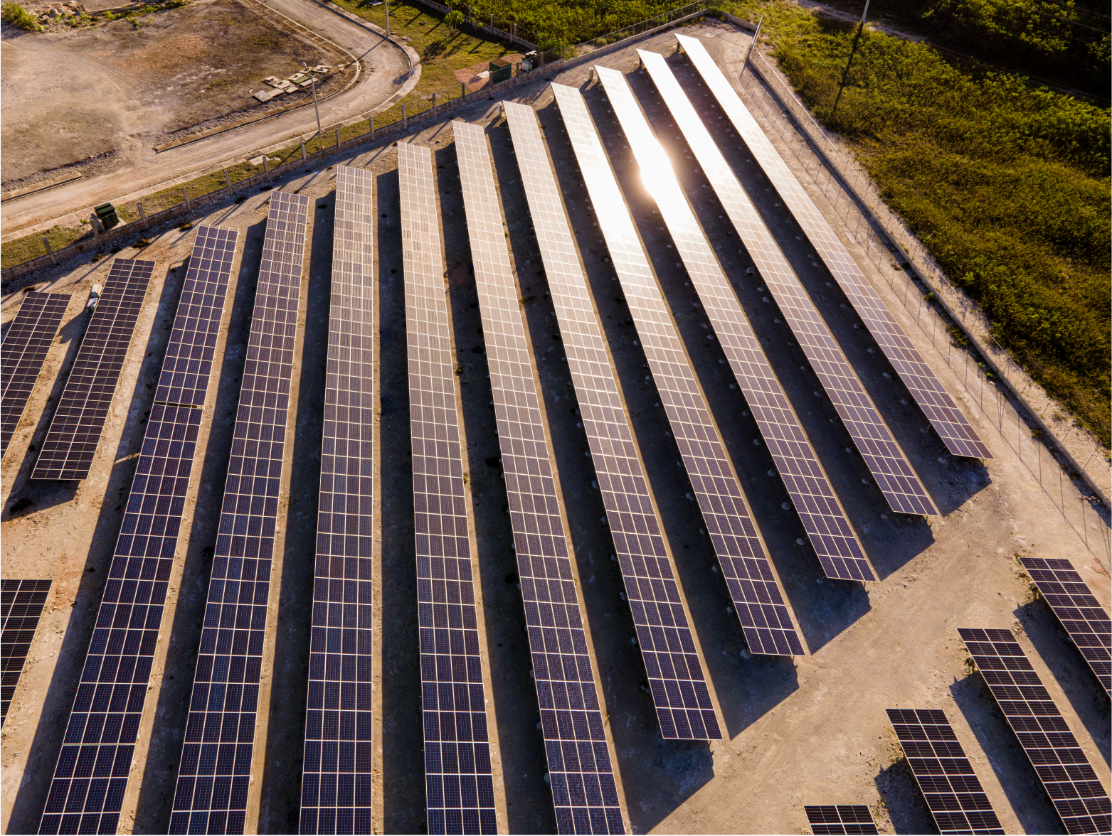 Leasing, Renting y Compra de Placas Solares: ¿Cuál es la mejor opción para ti?