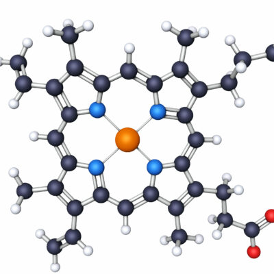 Heme-containing proteins have a diverse set of functions, including small-molecule transport, catalysis for bioorganic synthesis and electron transfer. Heme consists of a macrocyclic porphyrin ligand with an iron atom embedded in the porphyrin cavity. The metal ion is held in place by coordinate covalent bonds to the four nitrogen atoms of the macrocyclic ring. Heme is bonded to its protein by at least one axial His residue. The sixth metal site most often is either a small ligand (O2, H2O, etc.) or a second amino acid side chain IHis or Met).